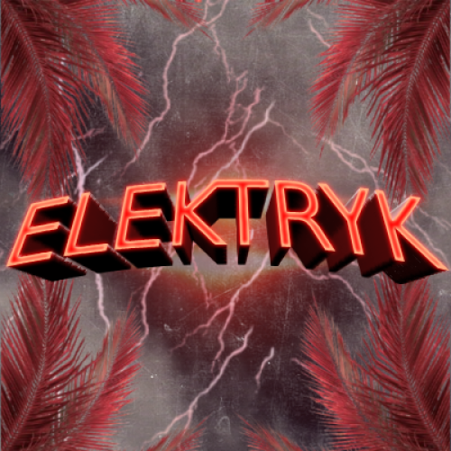 Elektryk